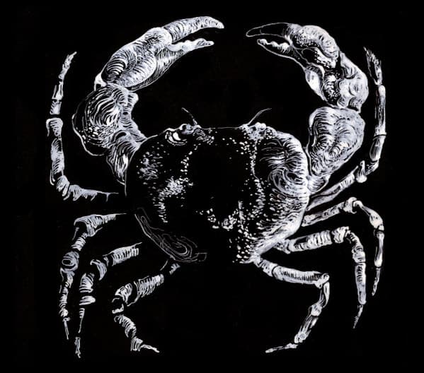 Crabe