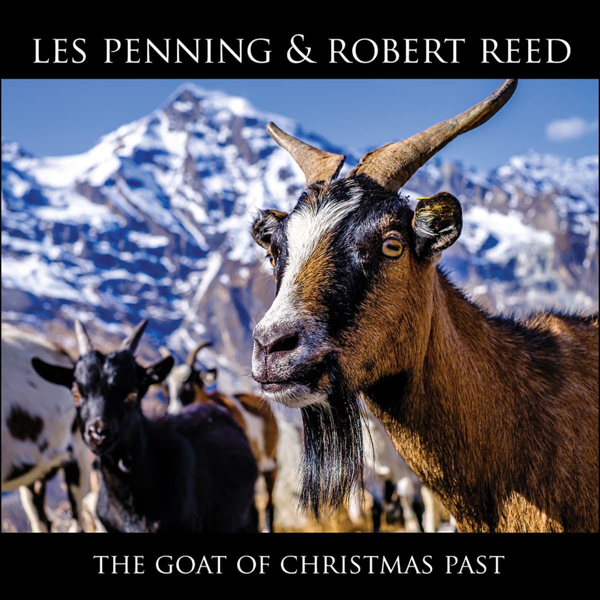 The Goat of Christmas Past
