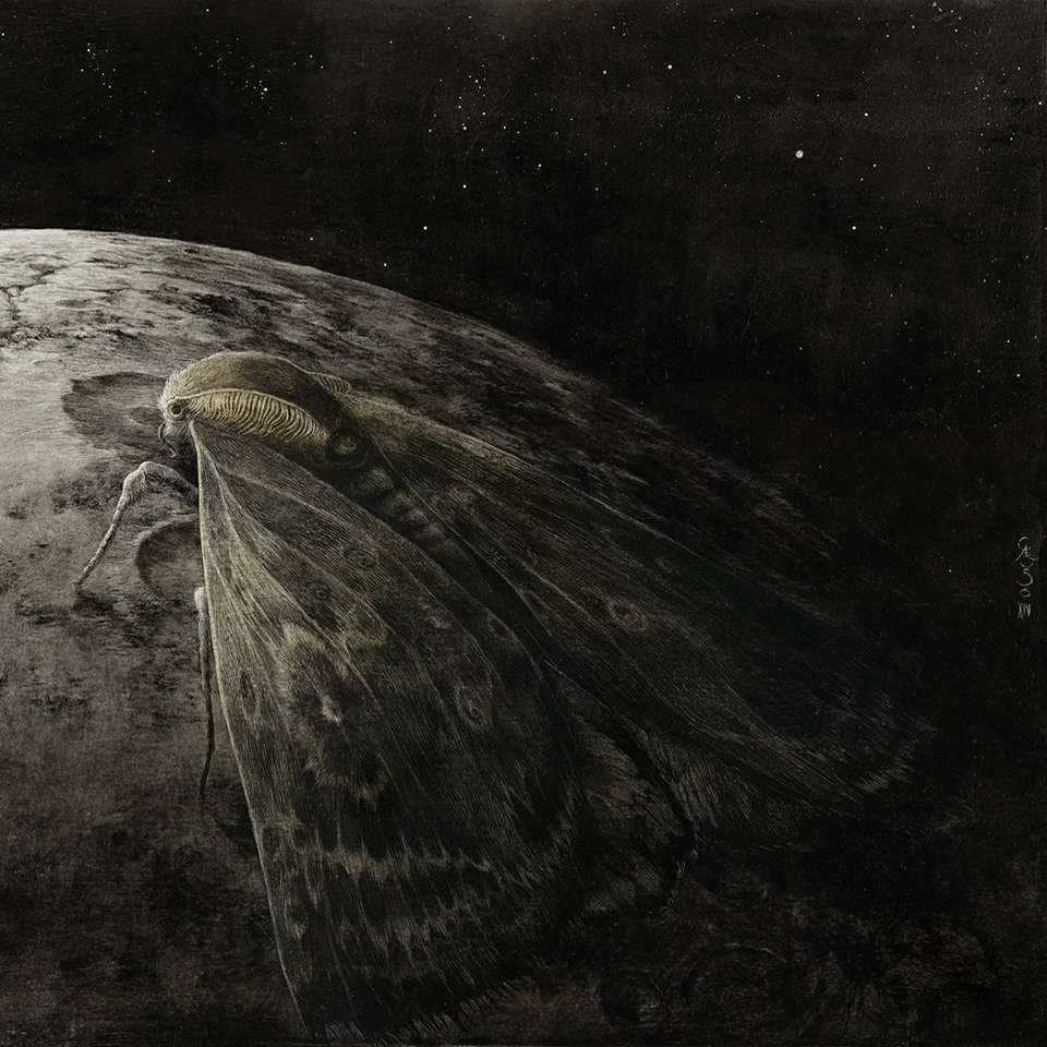 Moth and the Moon