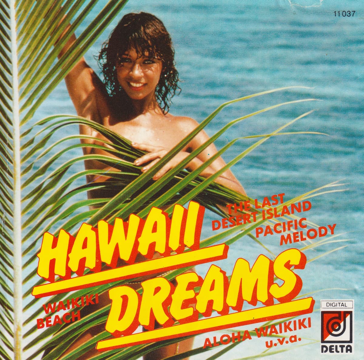Hawaii Dreams