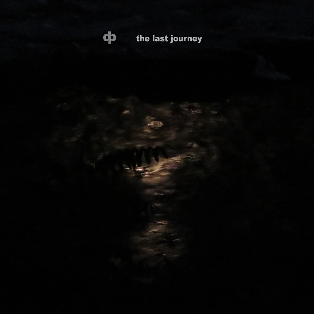 the last journey
