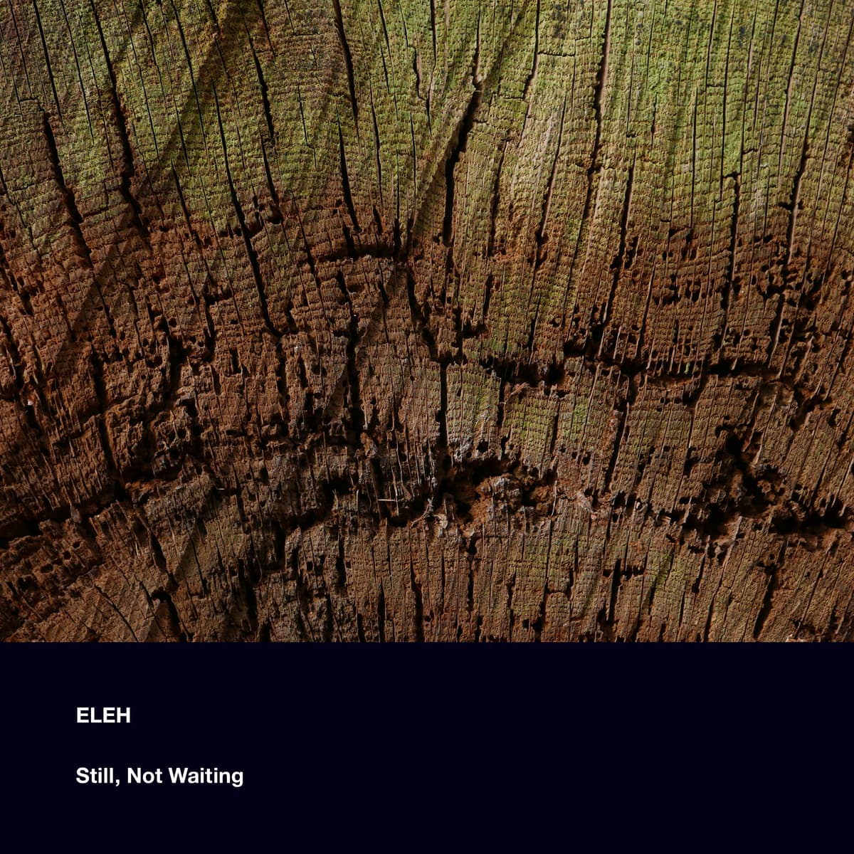 Still, Not Waiting
