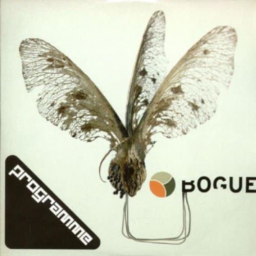 Bogue