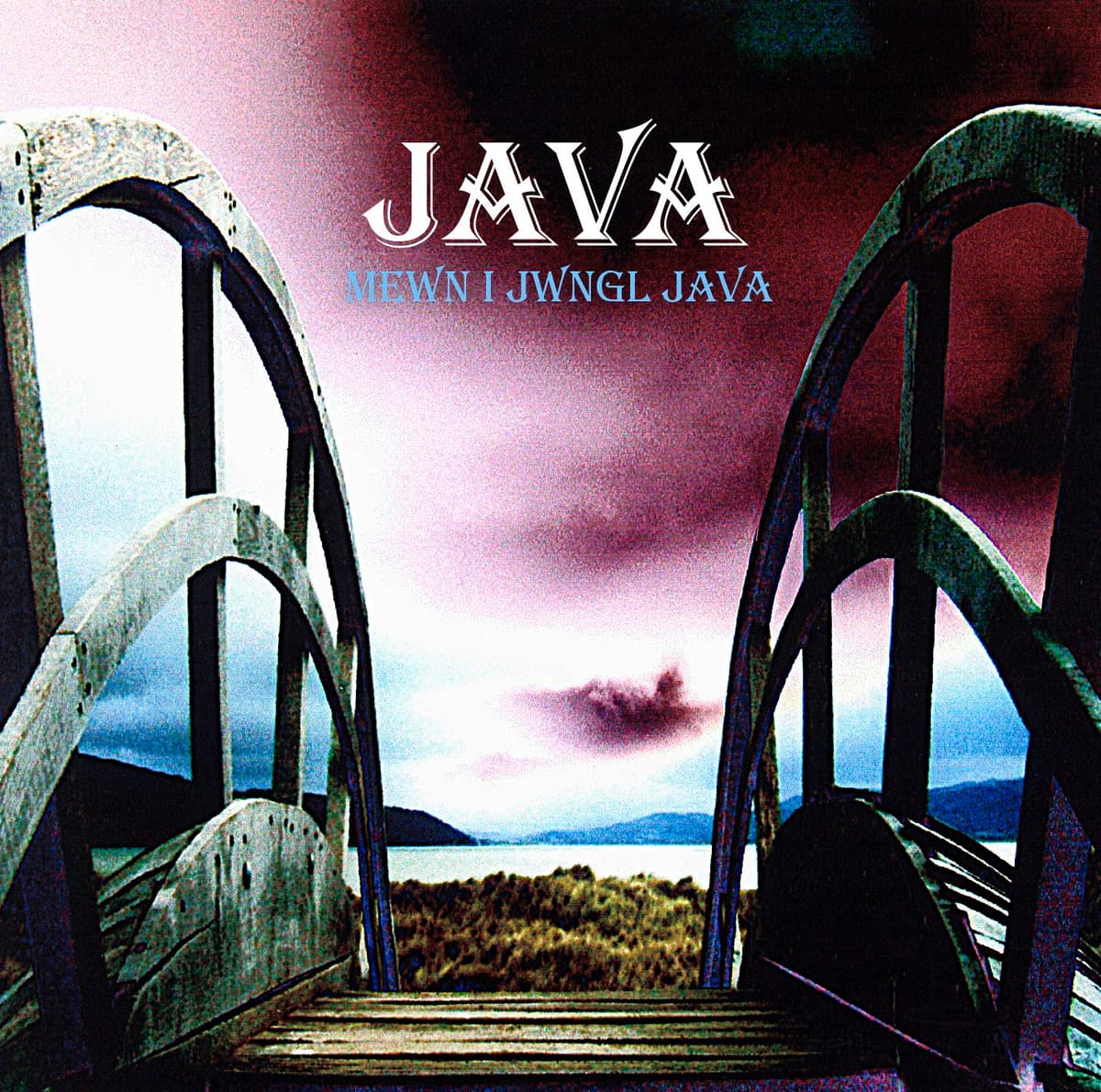 Mewn i Jwngwl Java