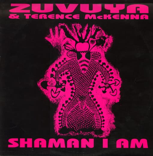 Shaman I Am