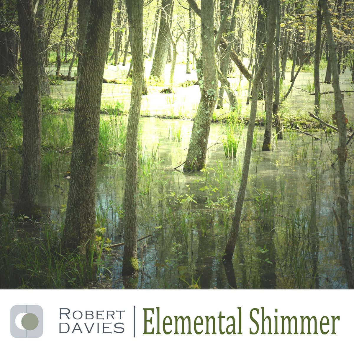 Elemental Shimmer