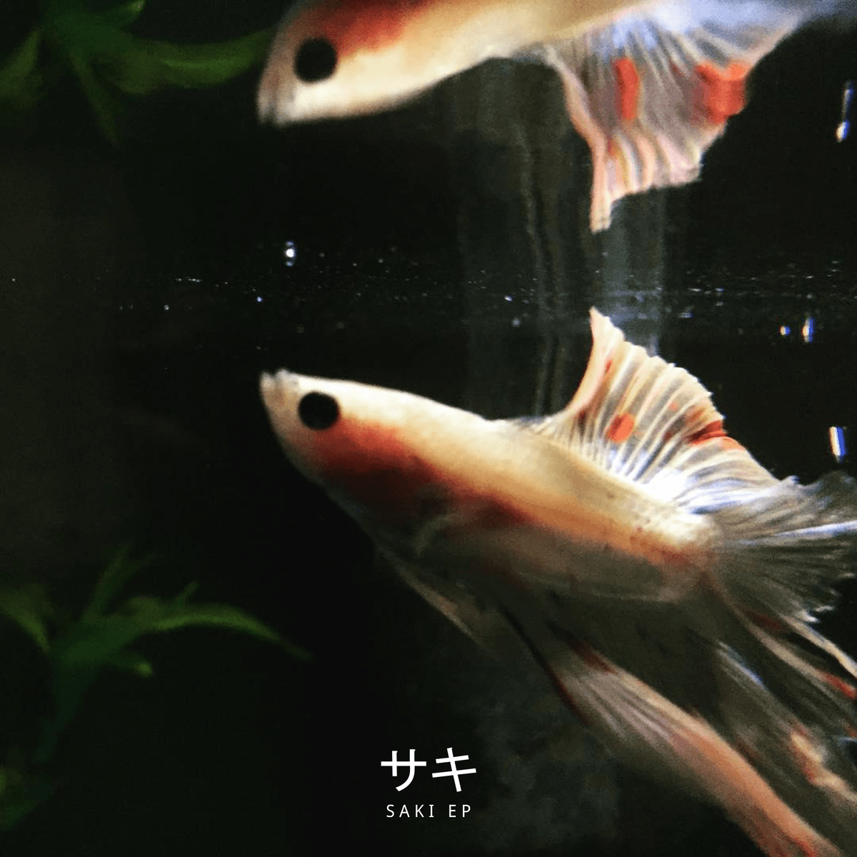 サキ