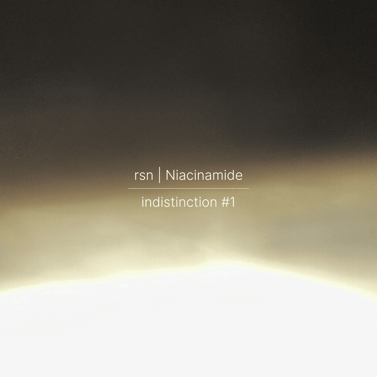indistinction #1