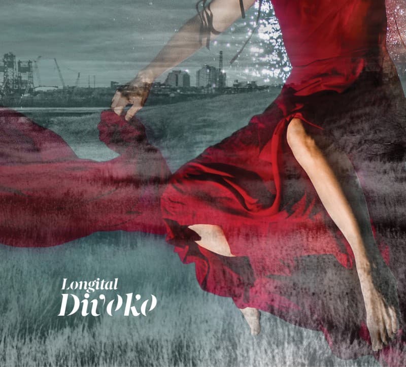 Divoko