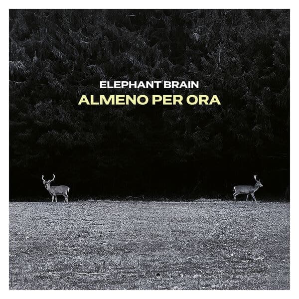 Almeno per ora