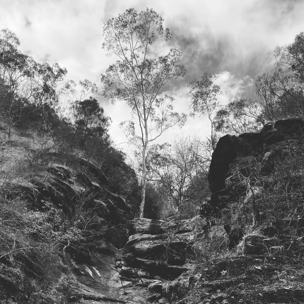 Picturesque Ruins