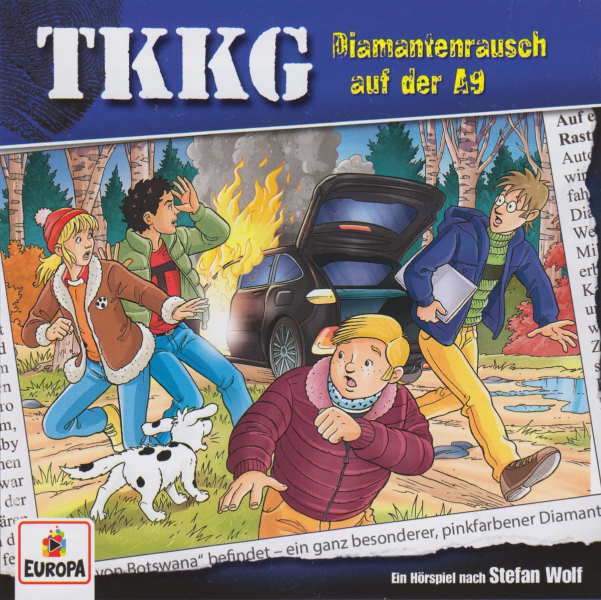 TKKG 214: Diamantenrausch auf der A9