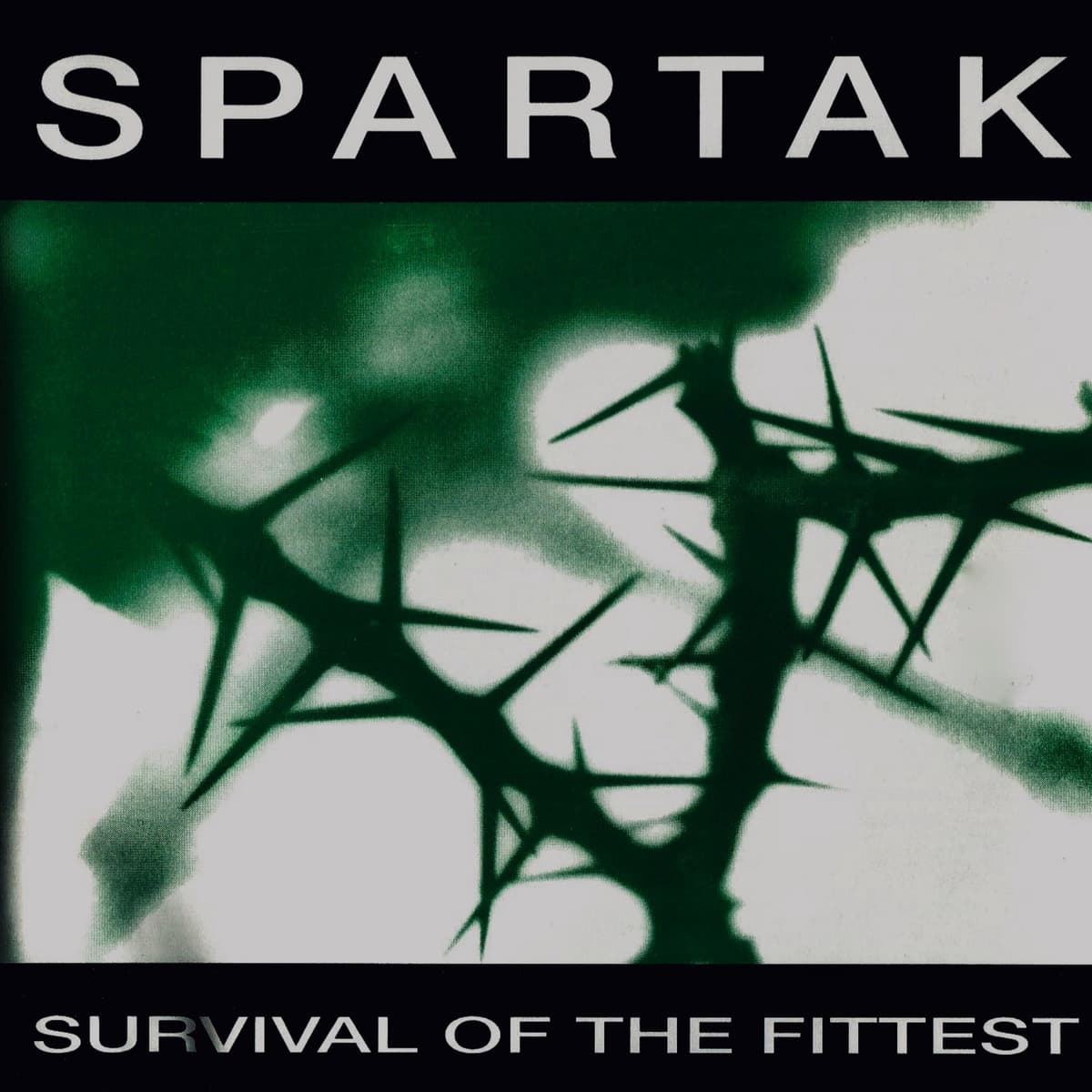 Survival of the Fittest