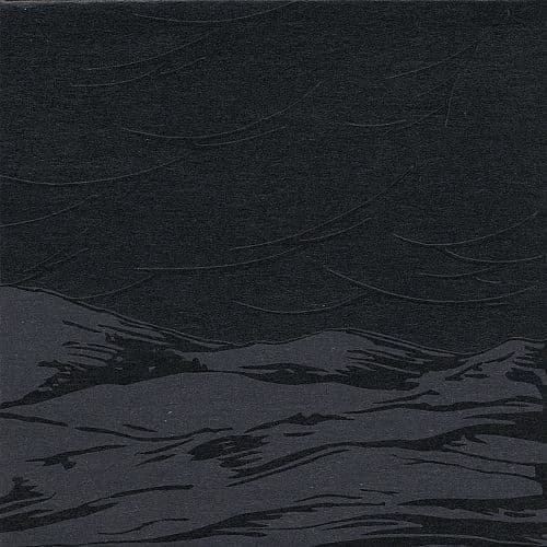 The Antarcticans