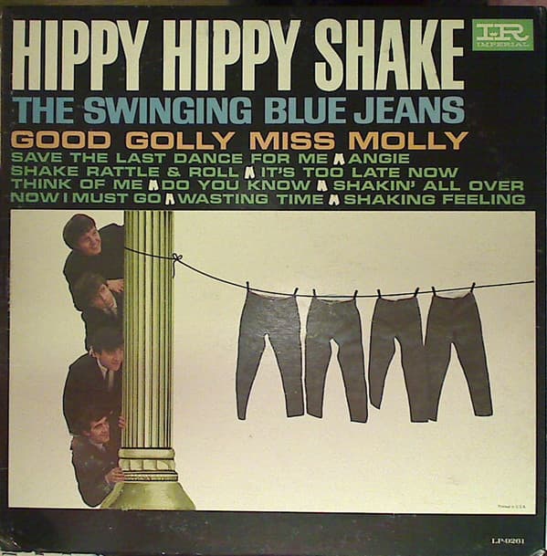 Hippy Hippy Shake