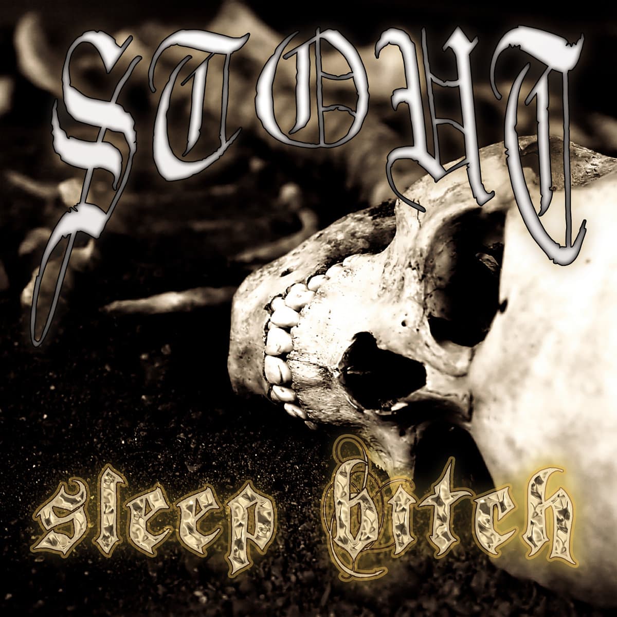 Sleep Bitch