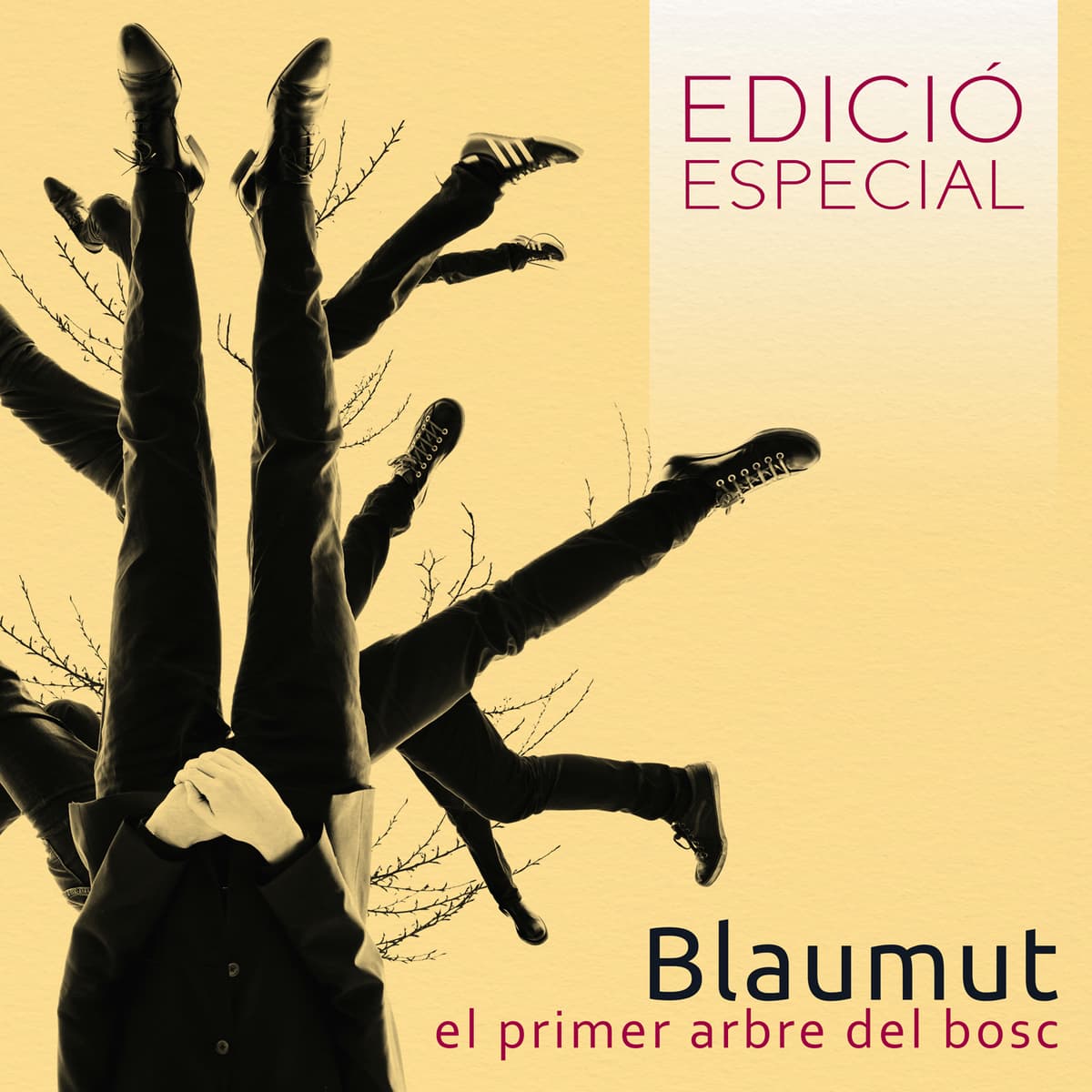 El primer arbre del bosc (Edició Especial)