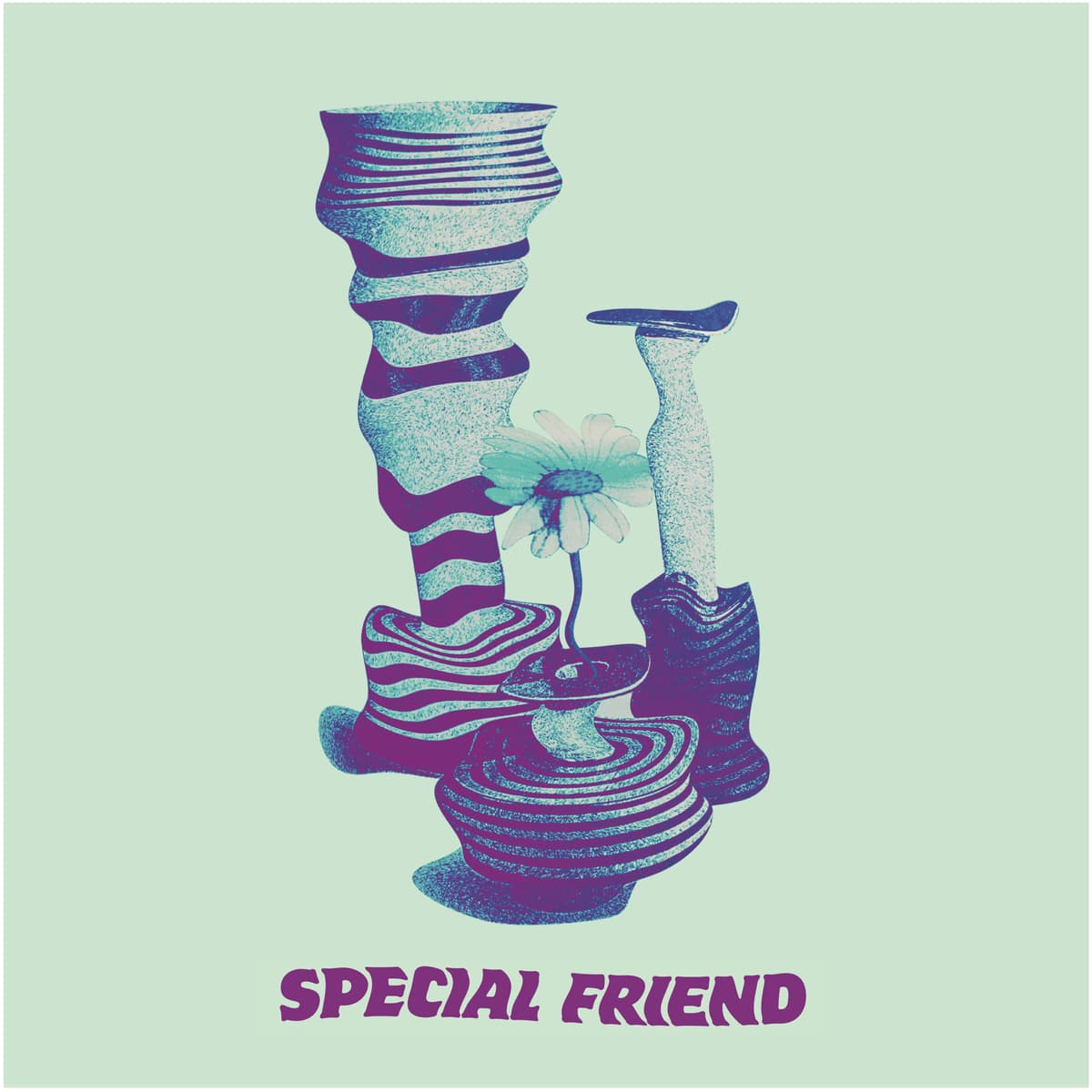 Special Friend