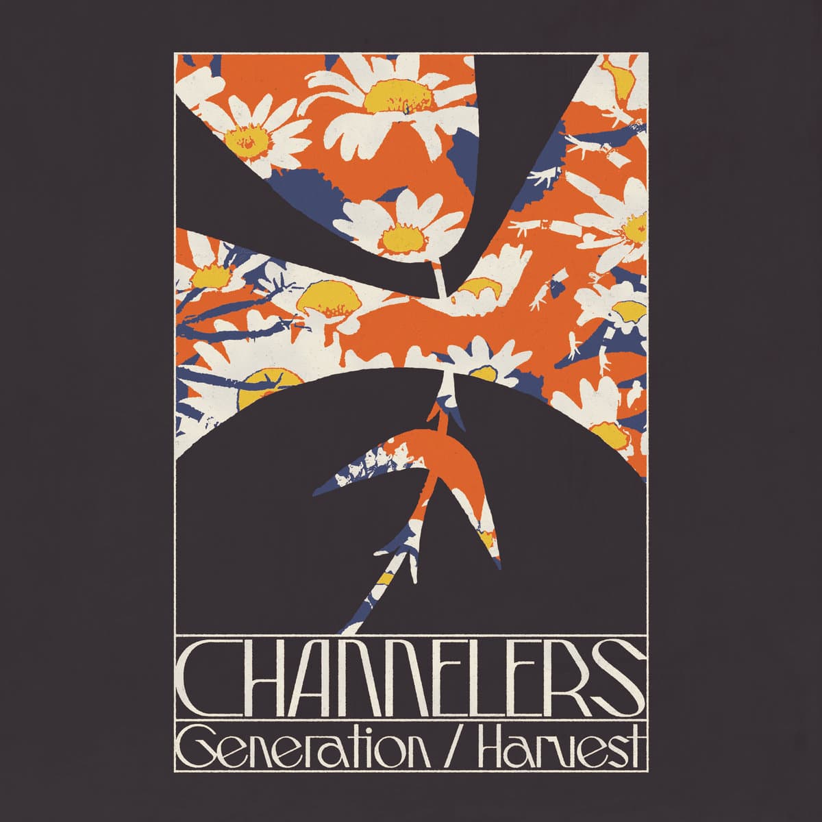 Generation / Harvest