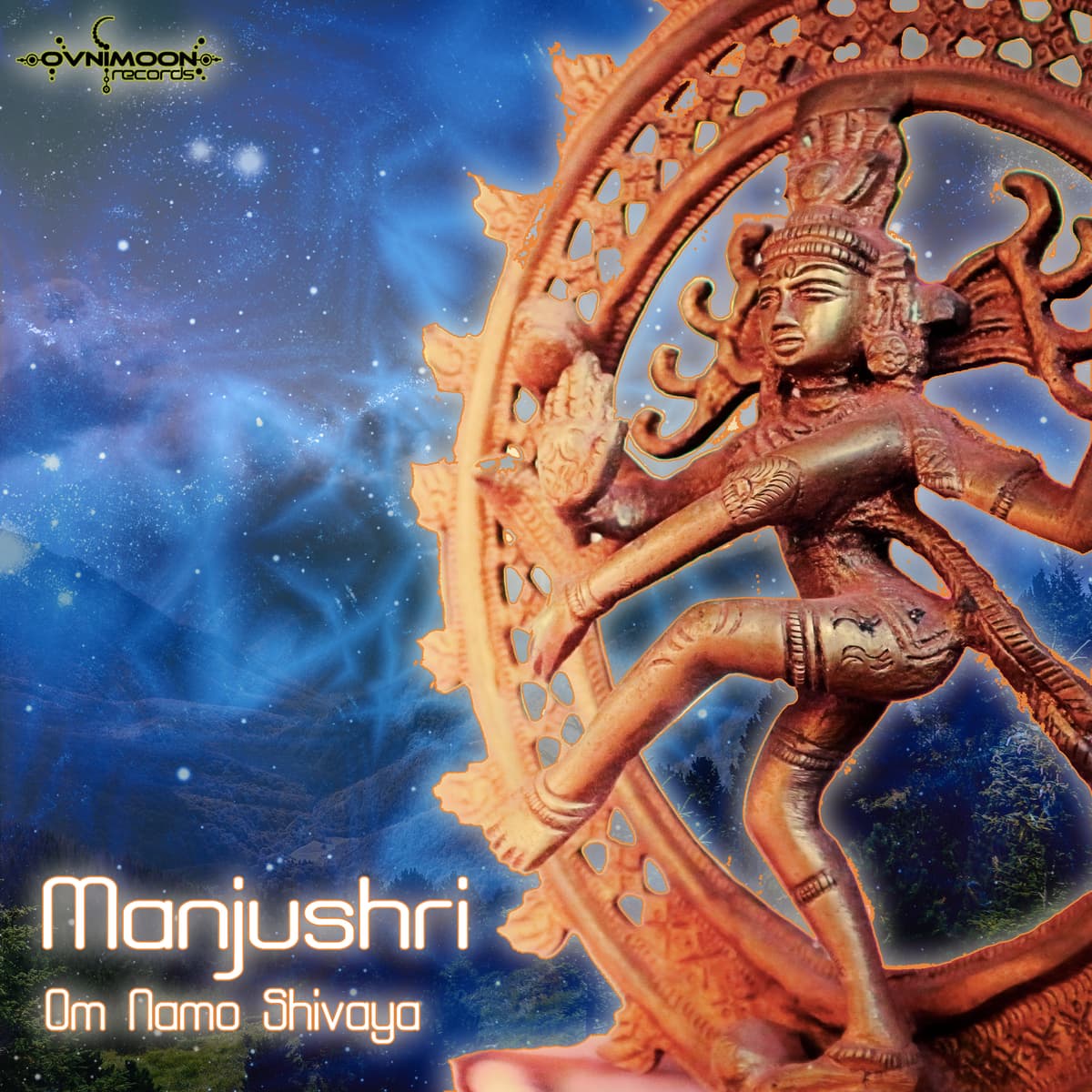 Om Namo Shiva