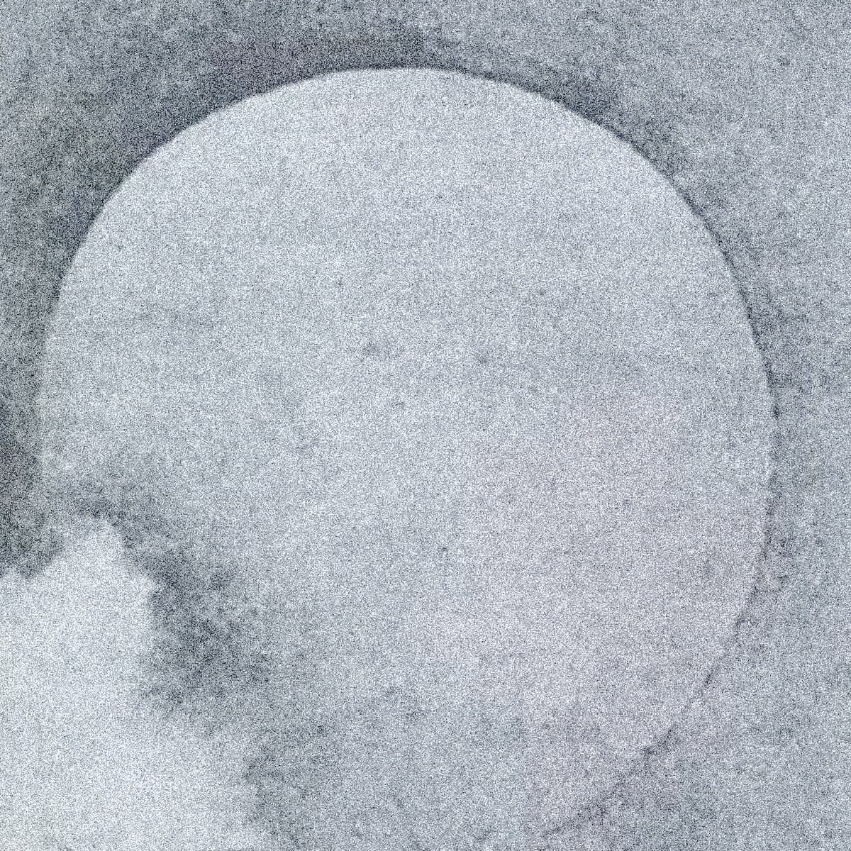 Untitled (Moon)