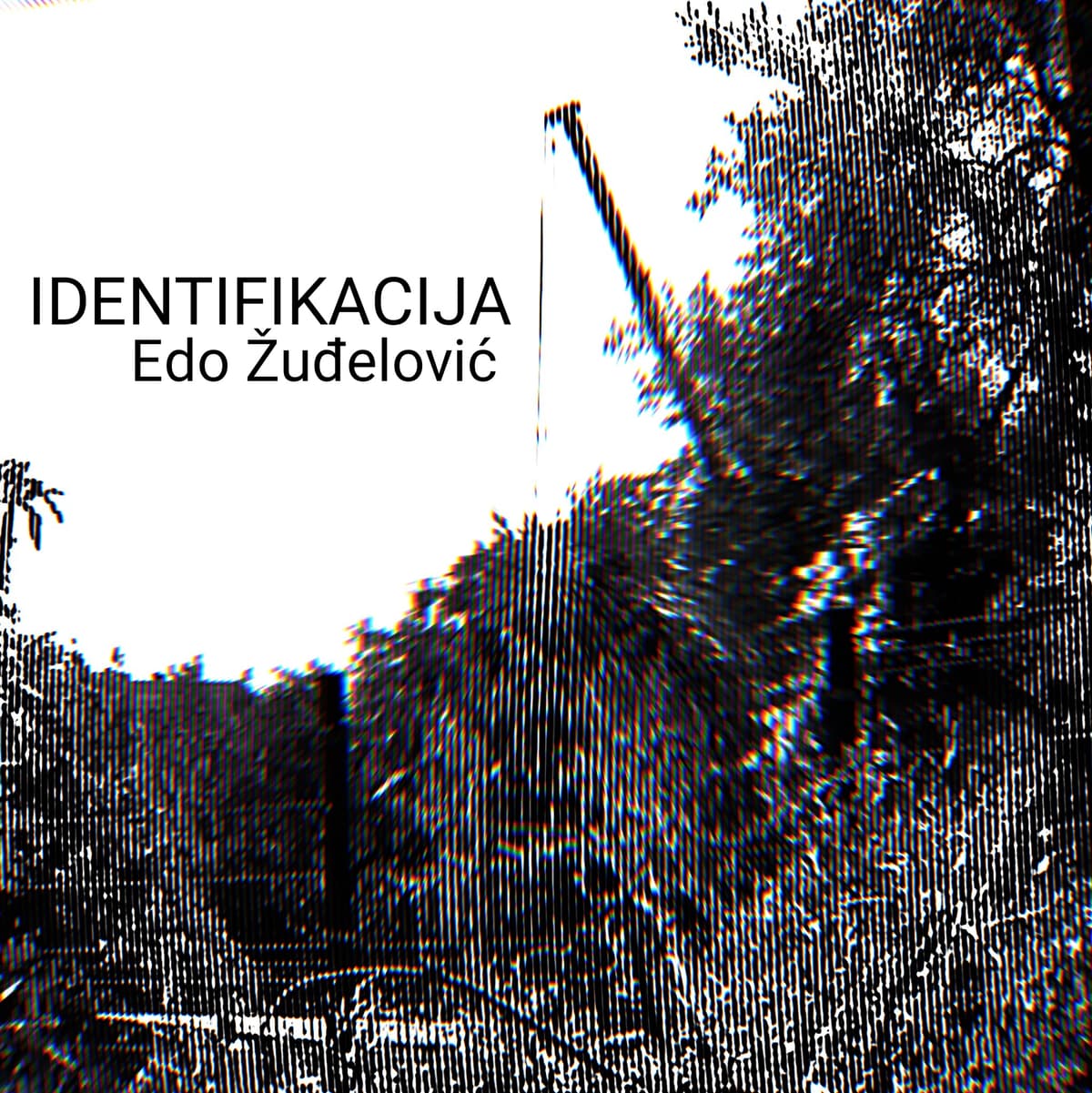 Identifikacija