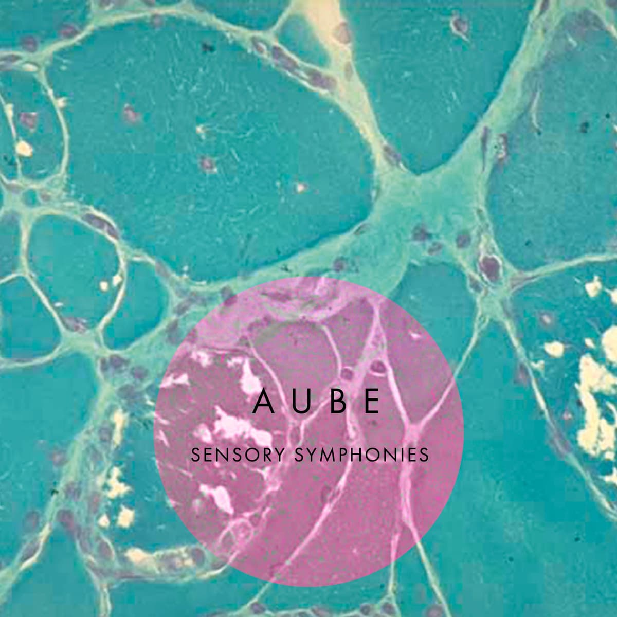 Sensory Symphonies