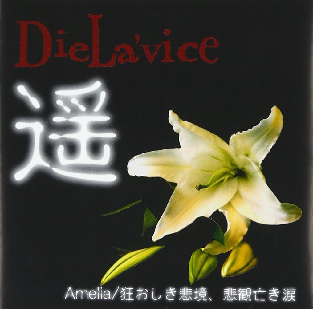 遥