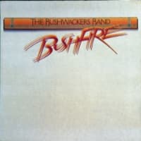 Bushfire