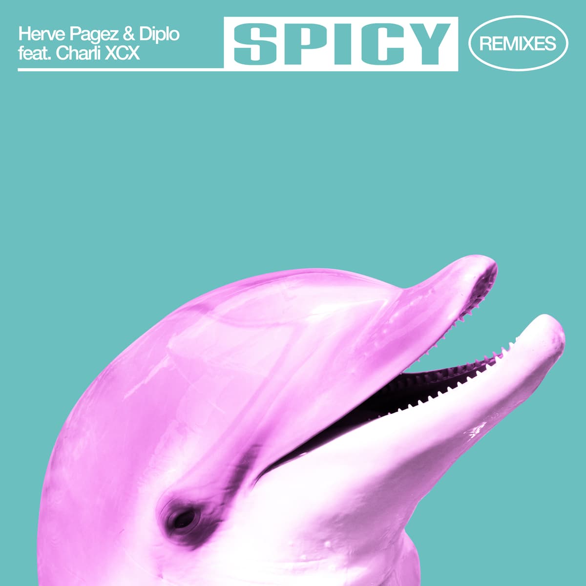 Spicy (remixes)