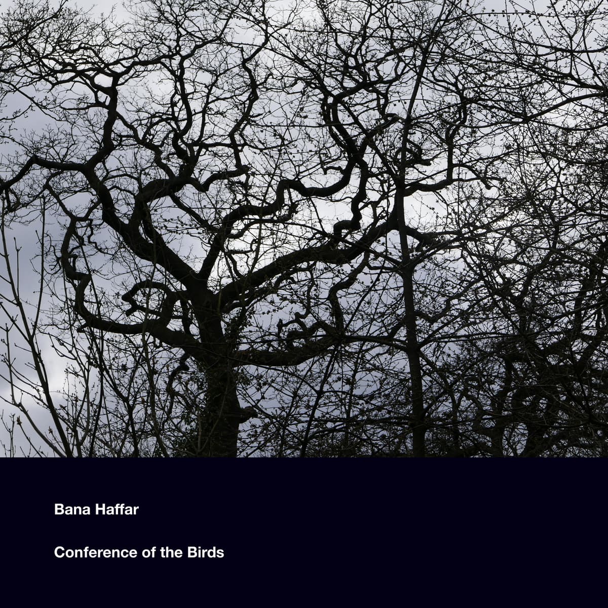 Conference of the Birds