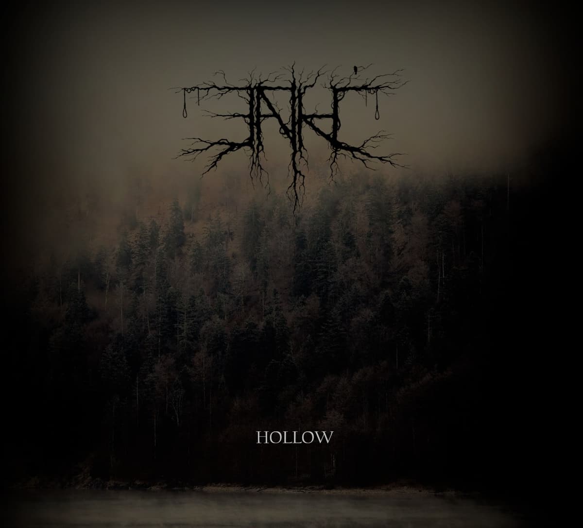 Hollow