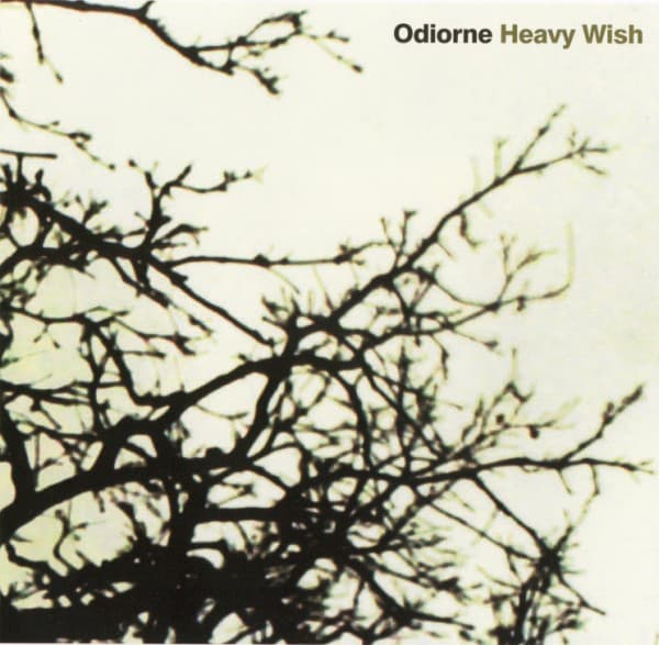 Heavy Wish