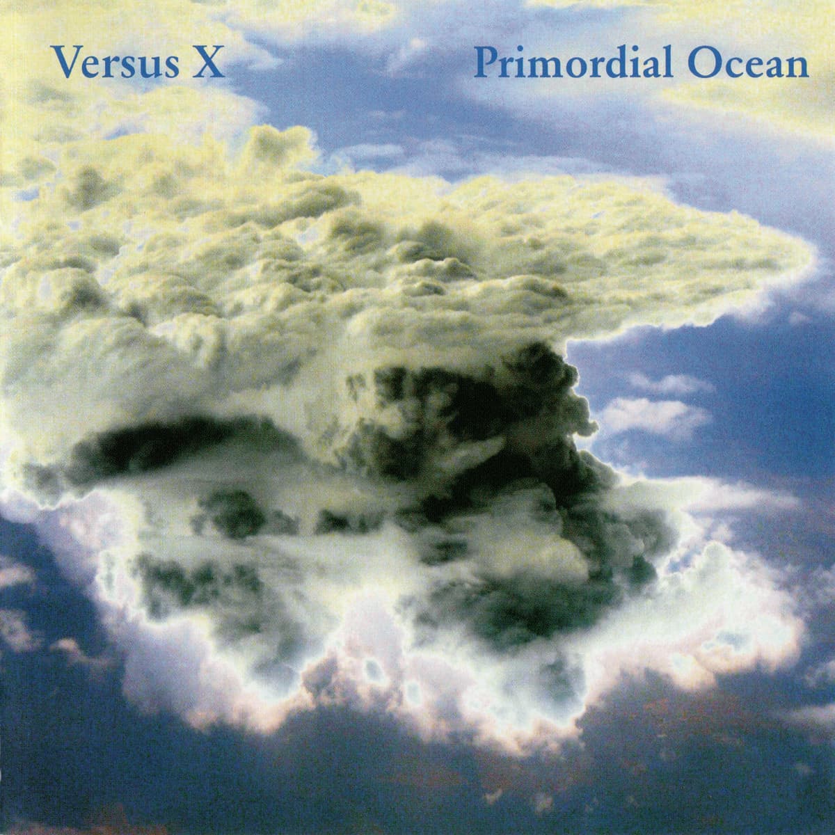Primordial Ocean