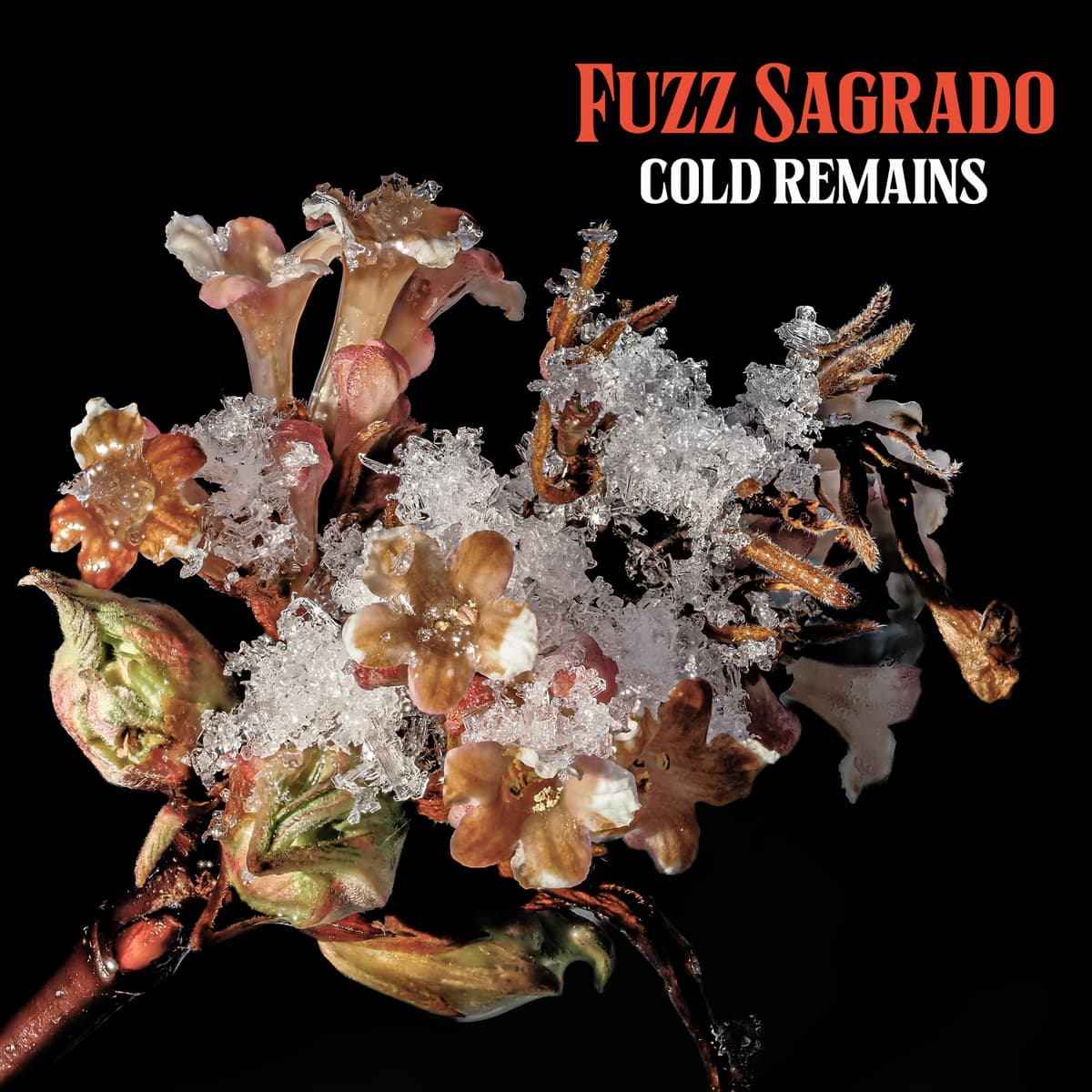 Cold Remains