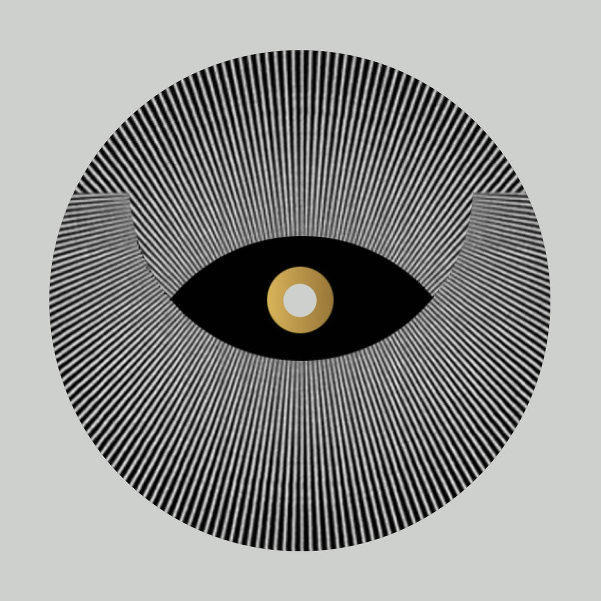 Transition LP