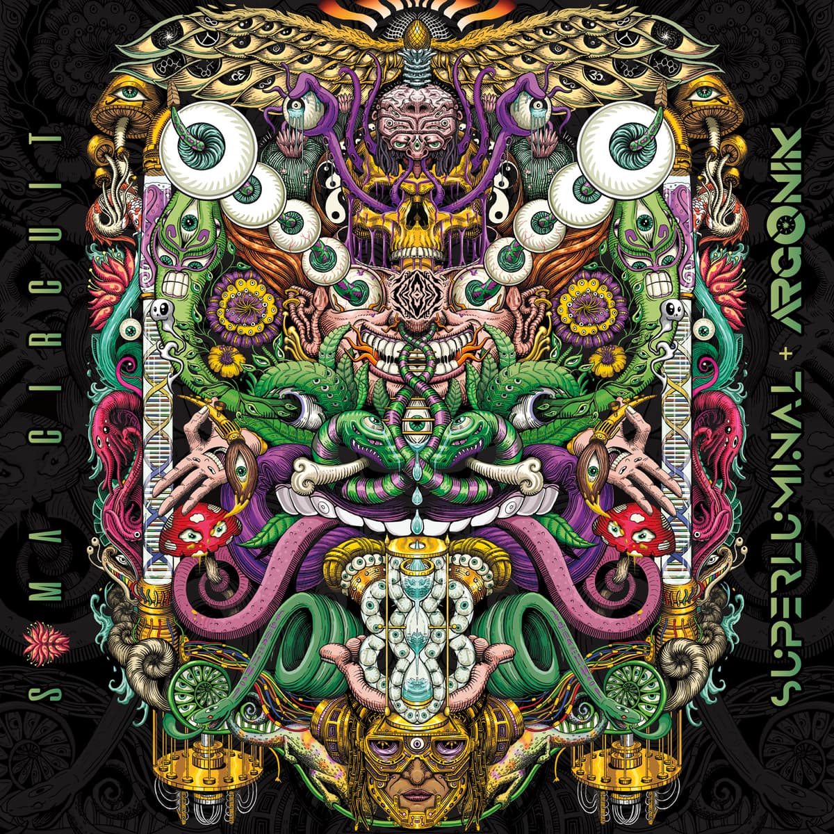 Soma Circuit