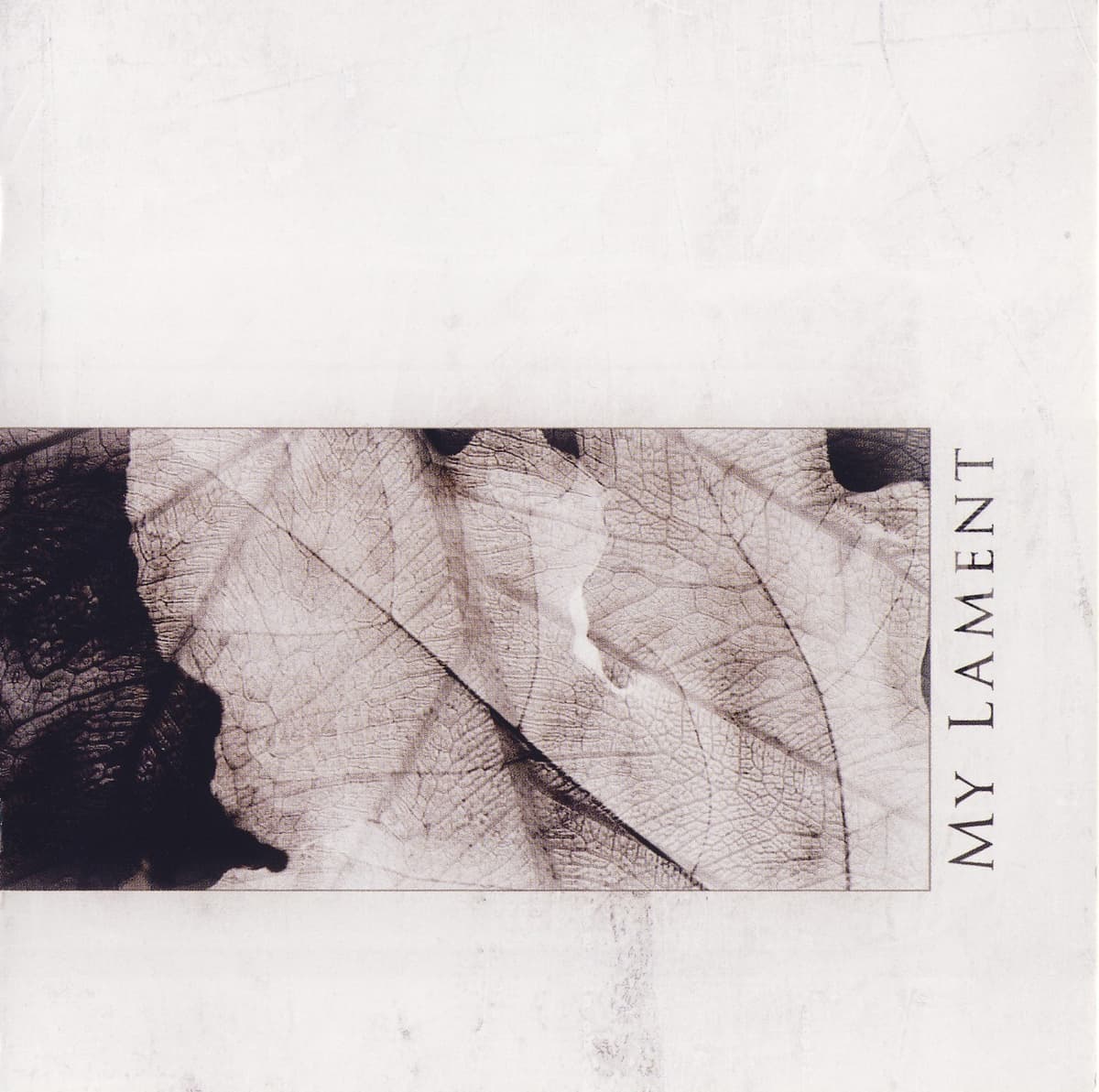 Broken Leaf