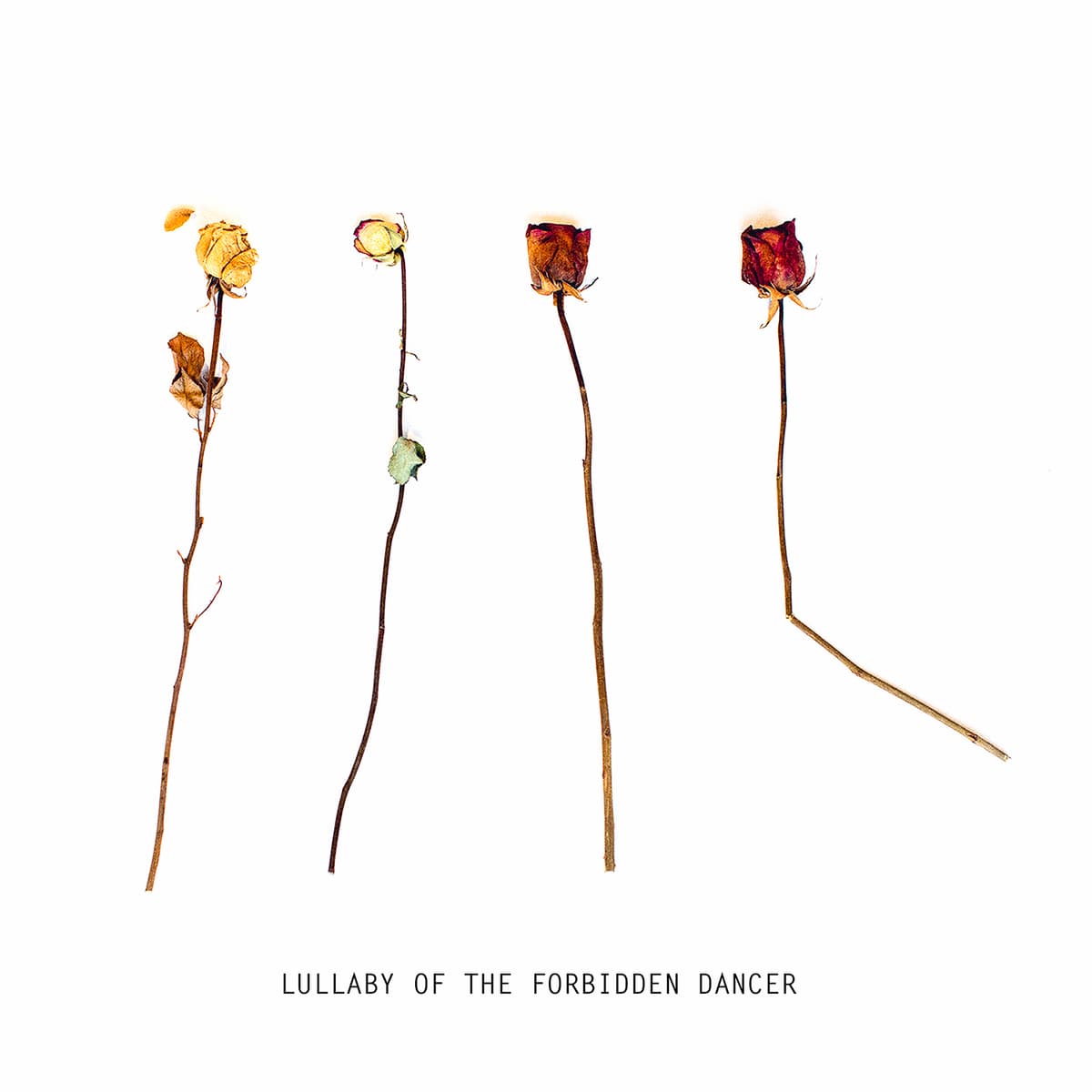 Lullaby of the Forbidden Dancer