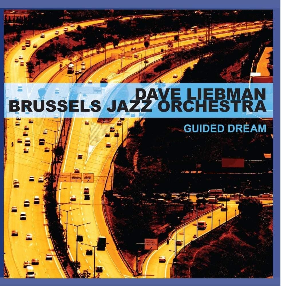 Guided Dream