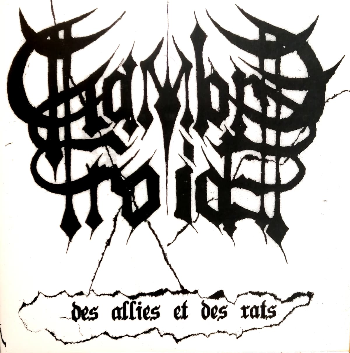 Des alliés et des rats