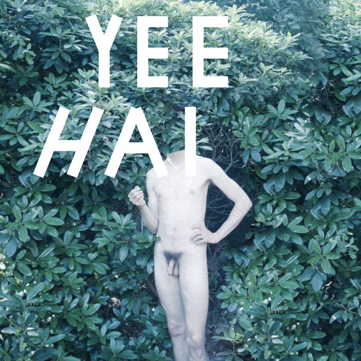 Yeehai