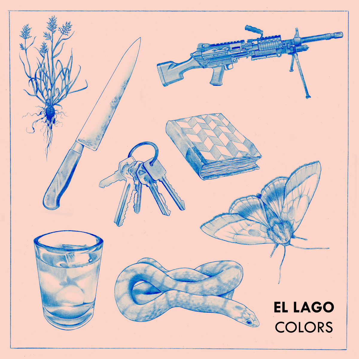 Colors