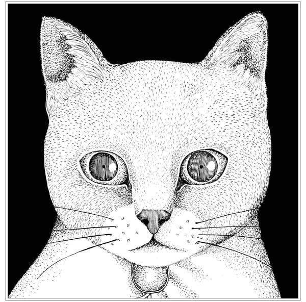ALL YOU NEED IS CAT〜猫こそはすべて