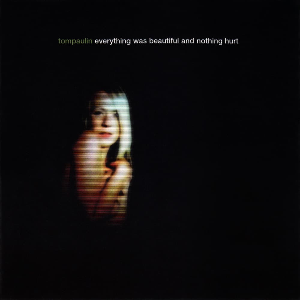 Everything Was Beautiful and Nothing Hurt