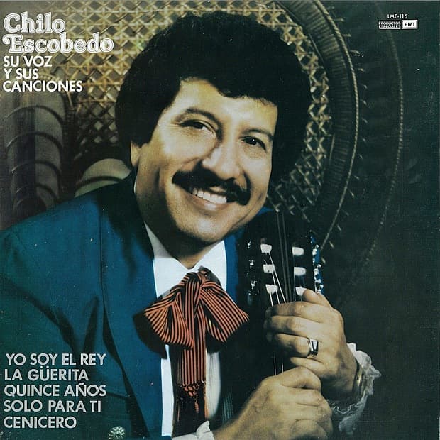Su Vos Y Sus Canciones
