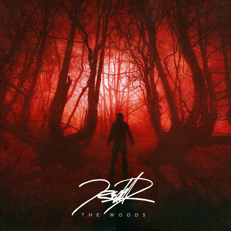 The Woods