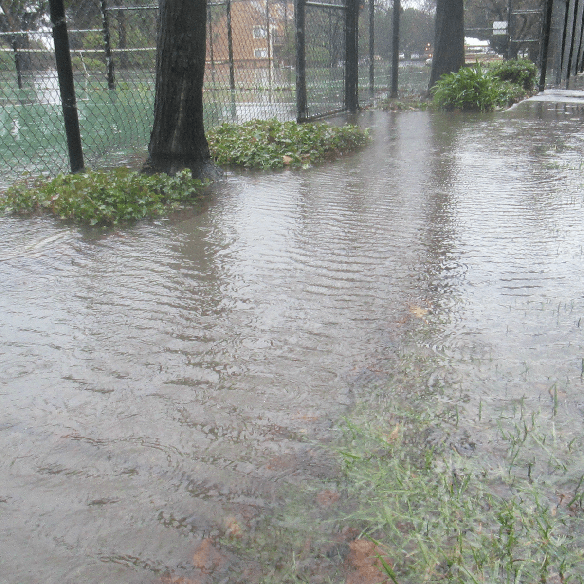 Morning Storm Hydrophone