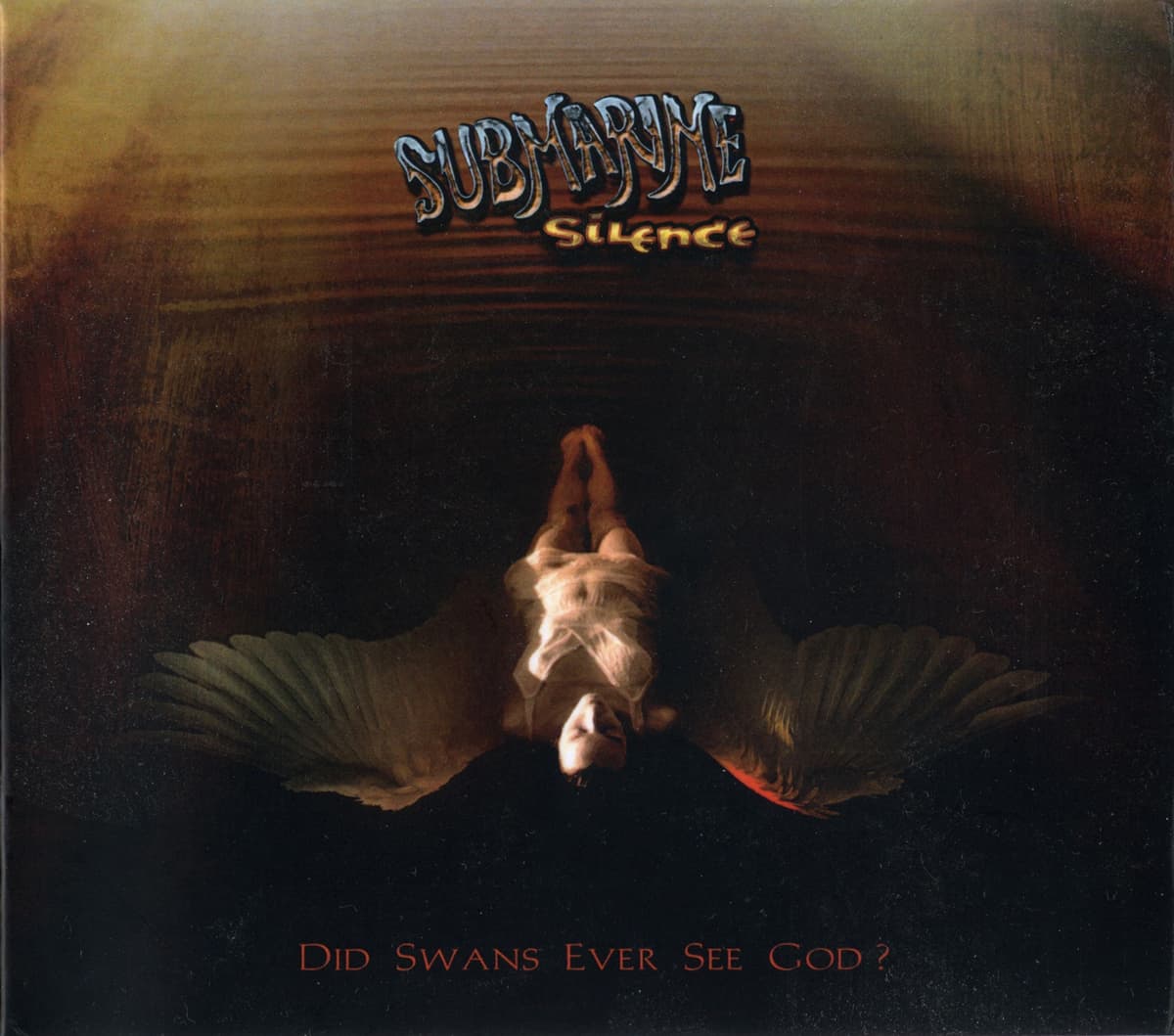Did Swans Ever See God?