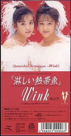 淋しい熱帯魚